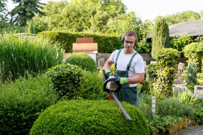 Lawn and Tree Services