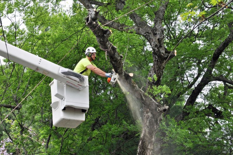 Tree Care Scheduling